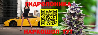 скорость Рыбинск