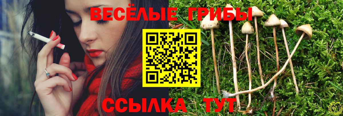 Нягань  Псилоцибиновые грибы ЛСД  купить  сайты  Вход с VPN  Галлюциногенные грибы мицелий 